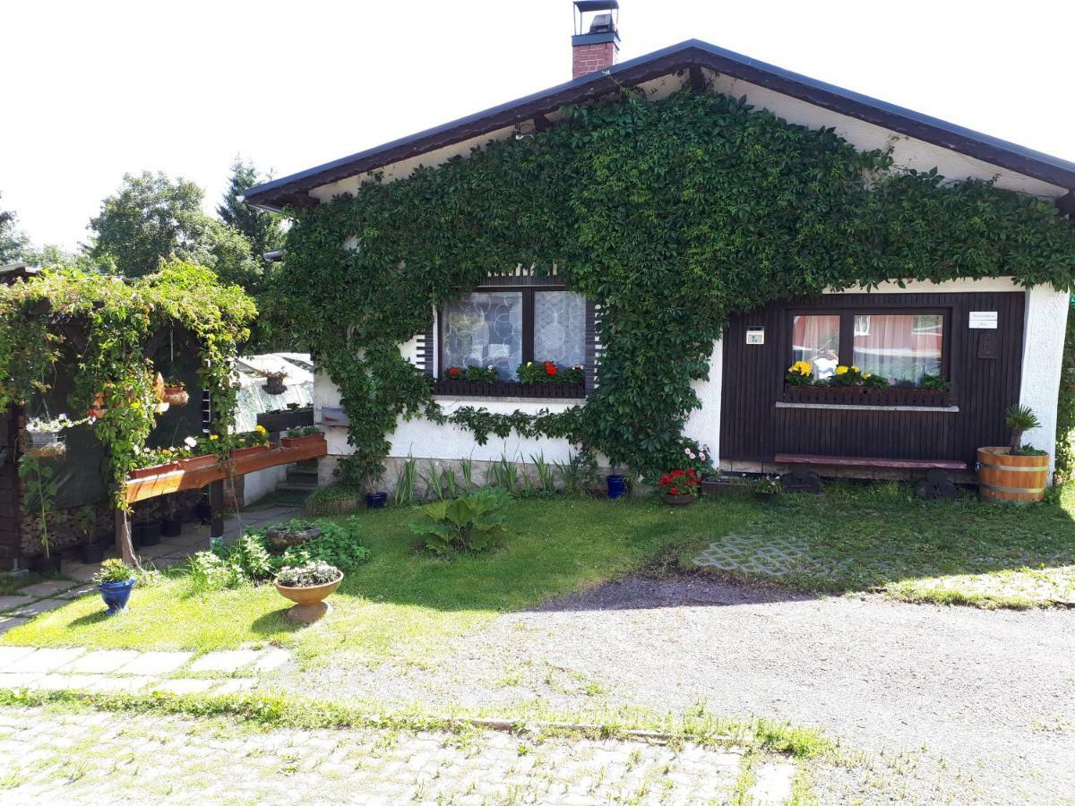 Ferienwohnung Kupfer Schmiedefeld am Rennsteig Ngoại thất bức ảnh